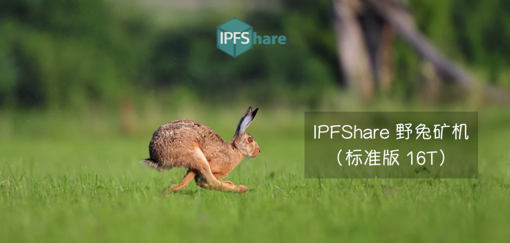 IPFShare 野兔矿机