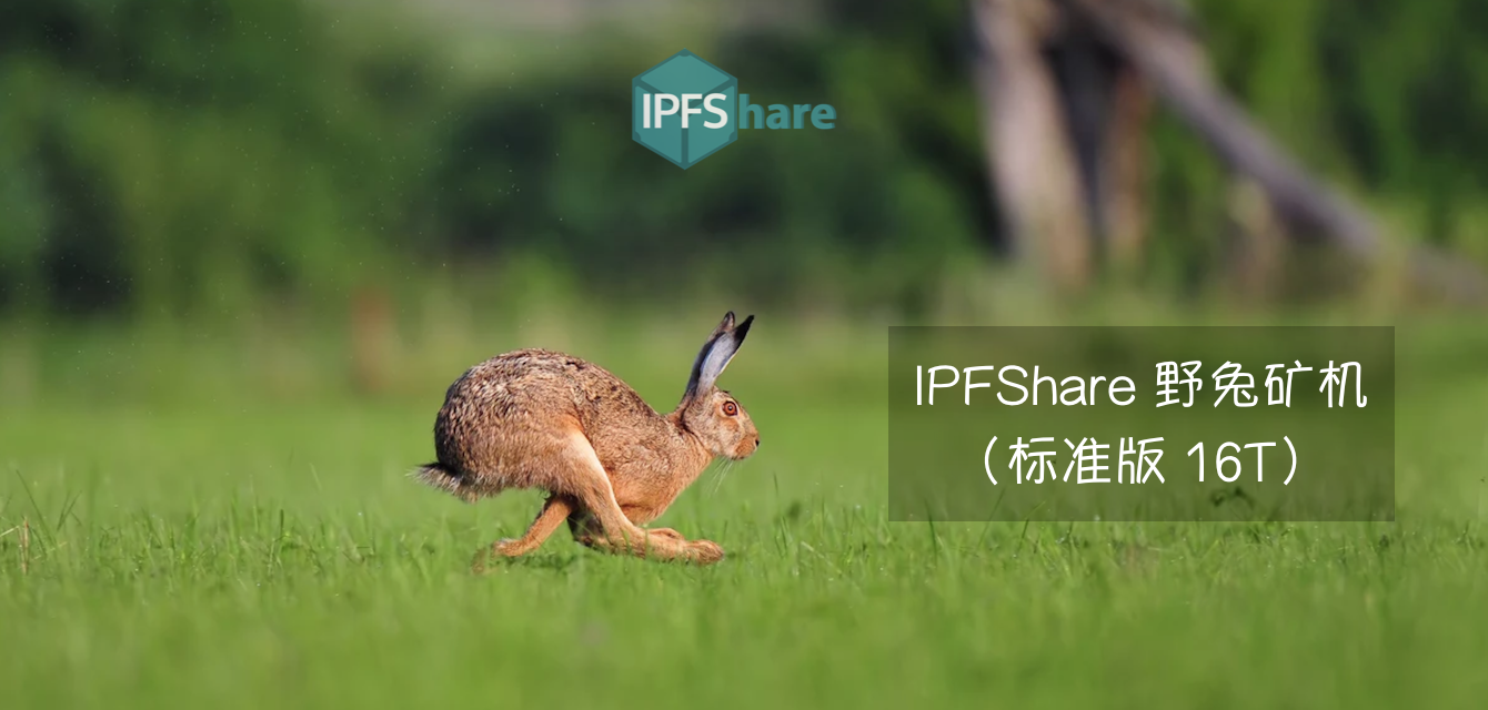 IPFShare 野兔矿机，现已上线，热卖ing！